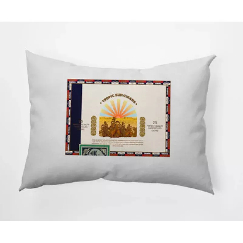 14 x 20 White & Blue Cigar Box Front Rectangular Outdoor Throw Pillow | Pool Central