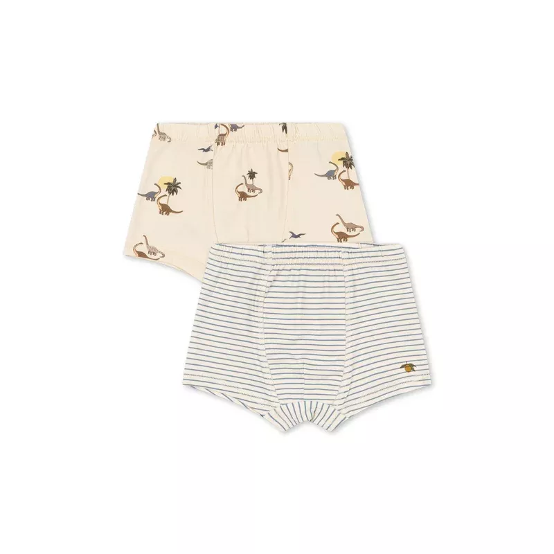 BASIC 2 PACK BOXERS – kubi/stripe bluie