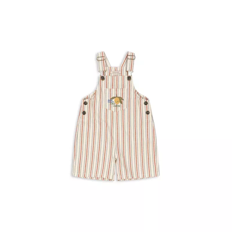FRANKIE OVERALL – stripe winds