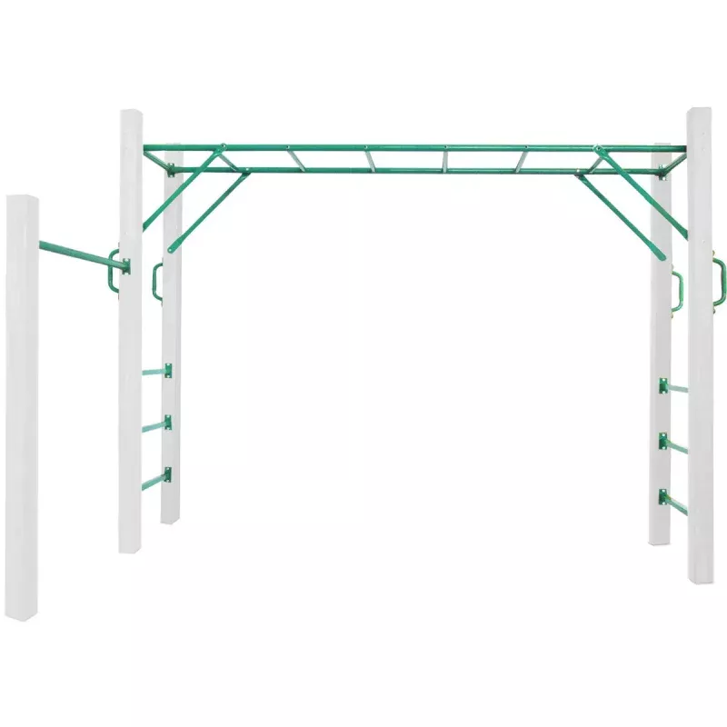 Lifespan Kids 2.5m Monkey Bars (Bars Only)