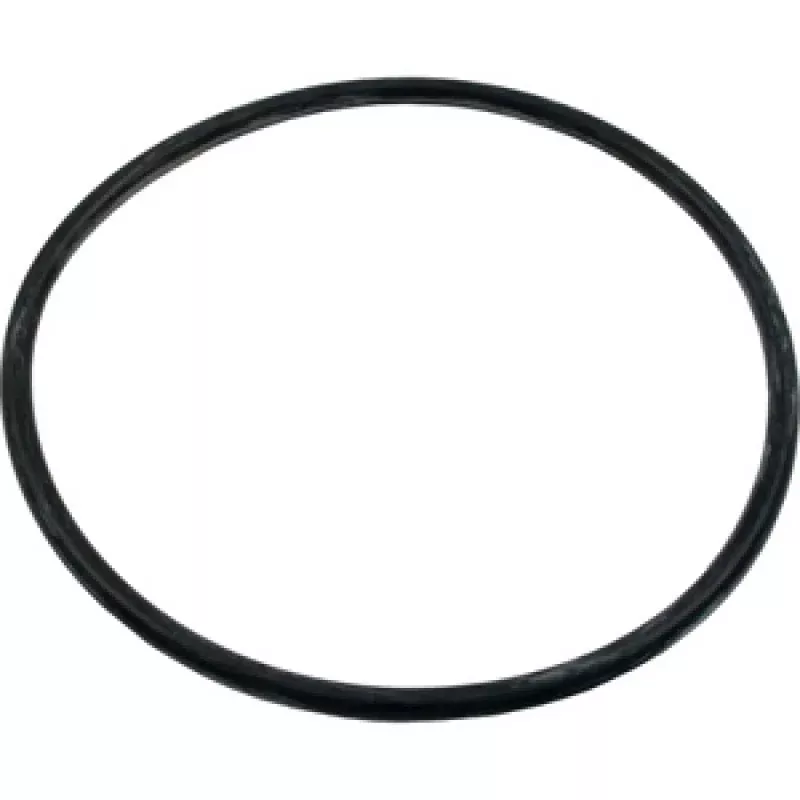 Pentair #2-449 Buna N Volute O-Ring, 39006000Z