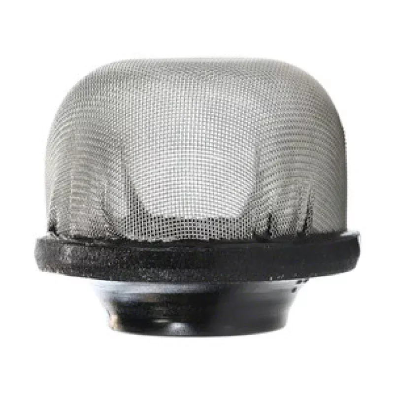 Pentair Air Relief Strainer, 172855