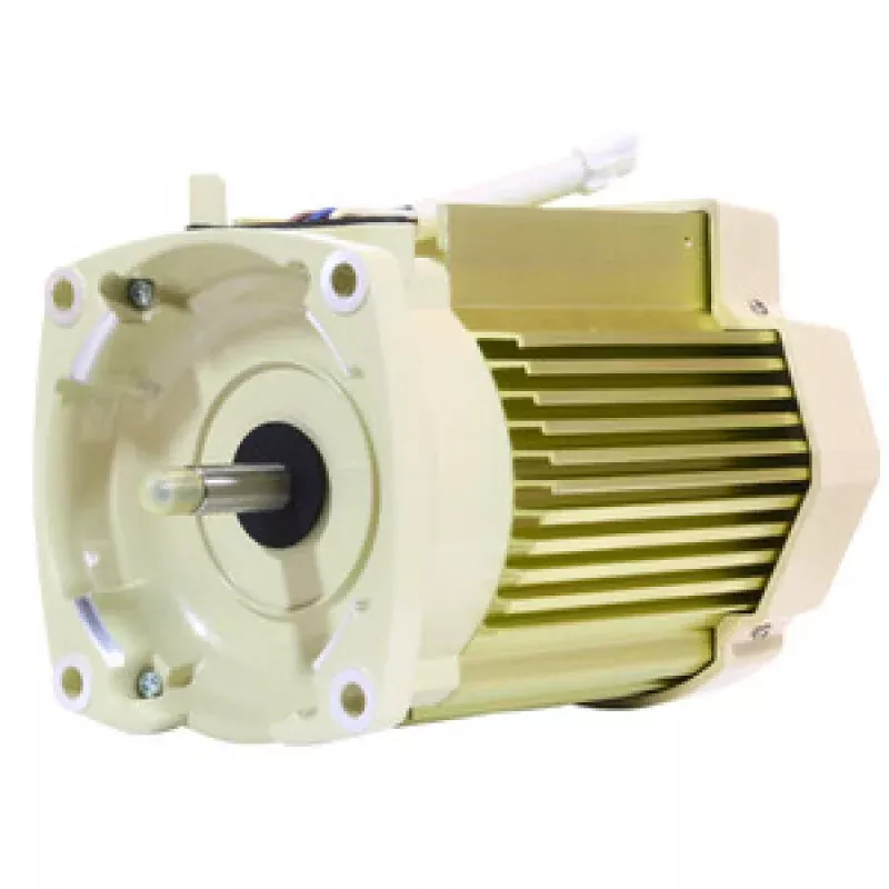 Pentair SuperFlo Almond Variable Speed Motor without Drive, 353134S