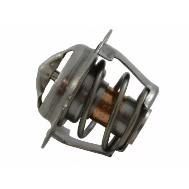 Pentair Thermal Regulator for MasterTemp 125 Heater Water System, 474989