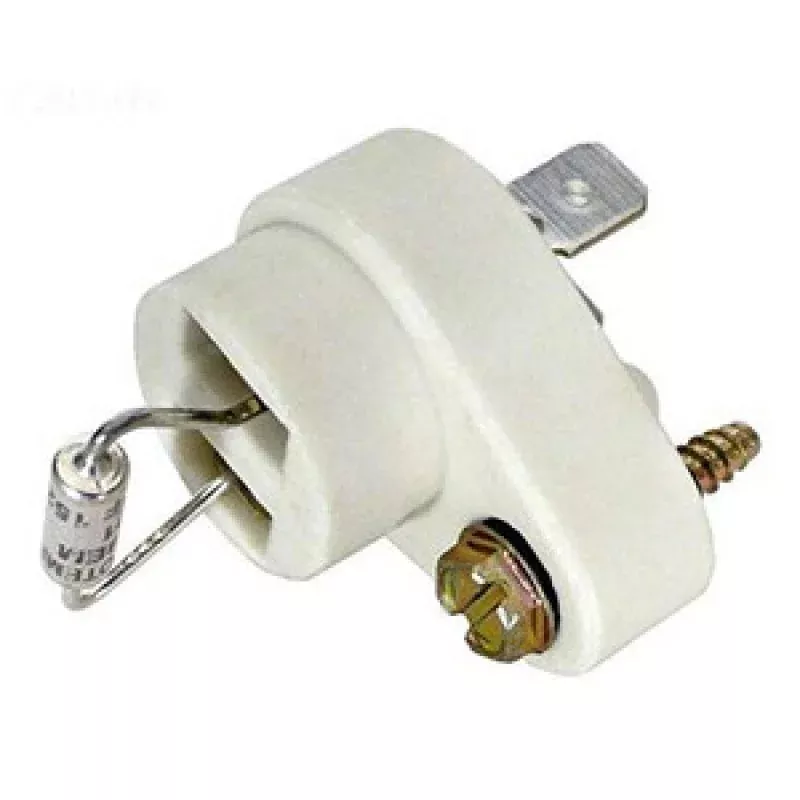 Raypak Thermal Fuse, 005899F