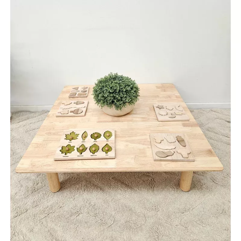 Wooden Square Kids Low Table