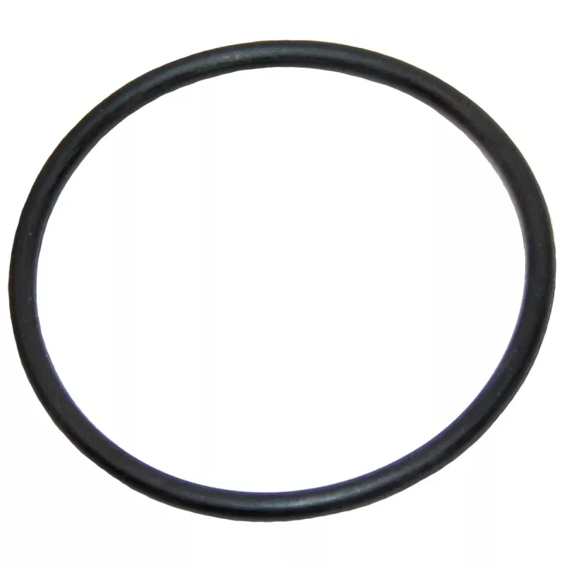 Zodiac 9-100-5132O-Ring Feed Pipe Replacement Assembly