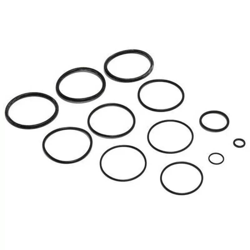 Zodiac R0358000O-Ring Replacement Kit for D.E. and Cartridge Pool and Spa Filters