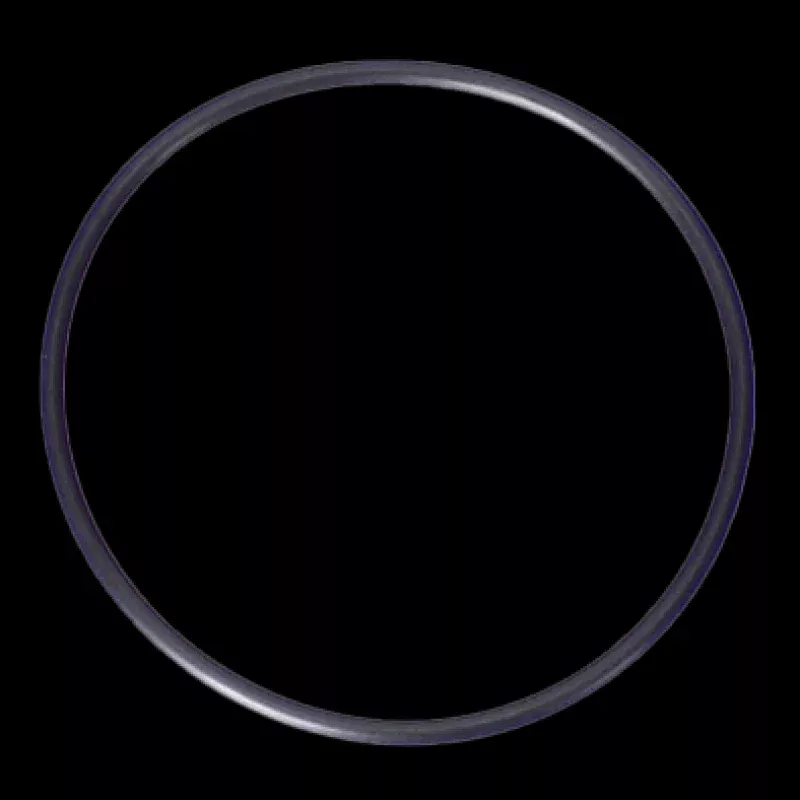 Zodiac R04127002-Inch Black O-Ring Replacement Component