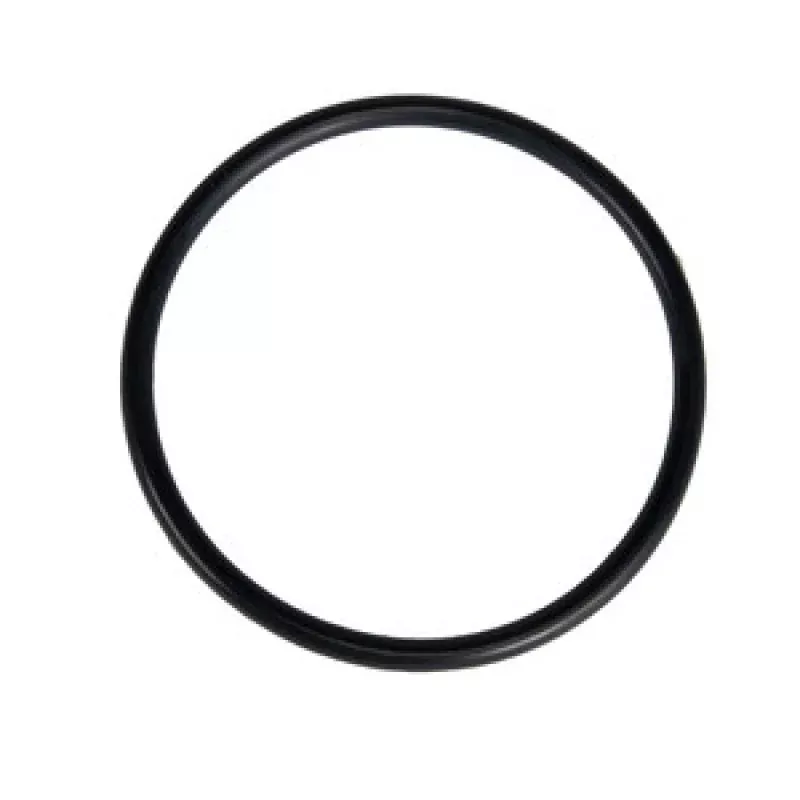Zodiac SHP/ FHP O-Ring, R0622000